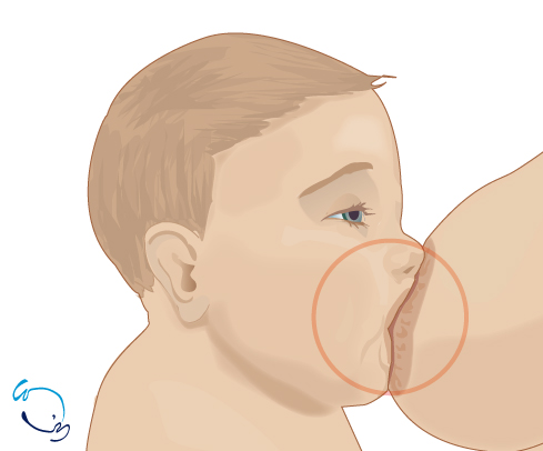 Lactancia materna, ayuda a colocar los dientes del bebé