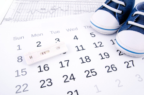 Calendario de ovulación sin errores
