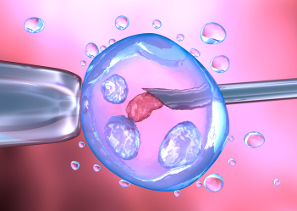 Preguntas y respuestas sobre la ovulación y días fértiles