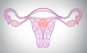 Reserva ovárica: cómo mantener los ovarios sanos