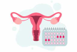Calculadora de la ovulación y días fértiles de la mujer