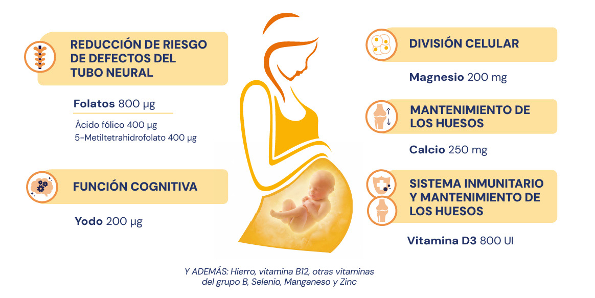 Componentes de NATALBEN Oro