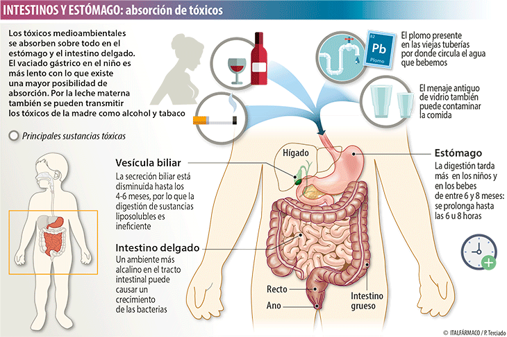 Estómago y tóxicos