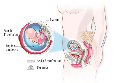 Tu hijo de 1 año y 2 semanas