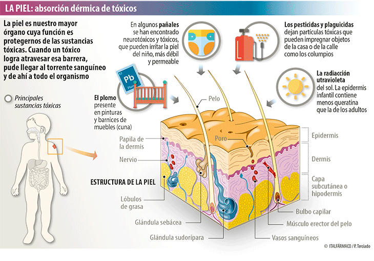 Piel del bebé y contaminación