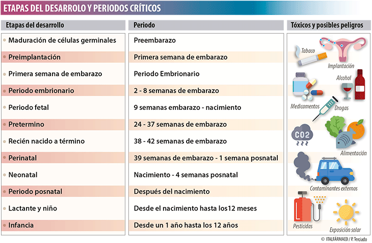 Embrión, feto y tóxicos