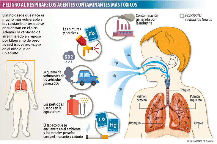 Pulmones infantiles y contaminación