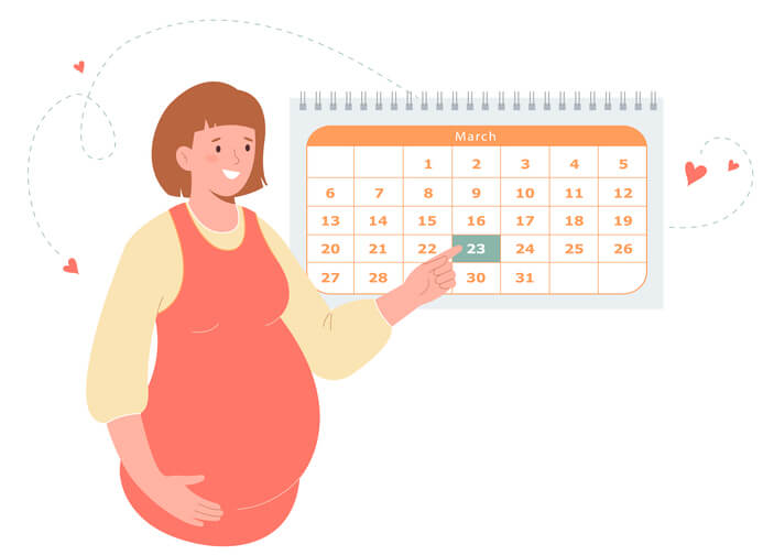 Calculadora de las semanas del embarazo