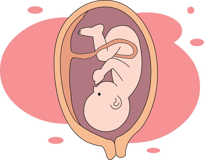 Calcular las semanas del embarazo