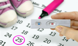 Ciclo menstrual y calendario de ovulación