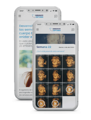 Características App Embarazo Optimo