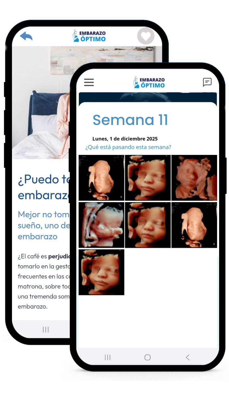 App Embarazo óptimo