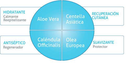 componentes epixelle