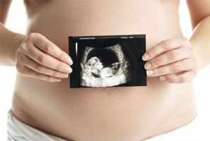 Cómo es el crecimiento y desarrollo del feto