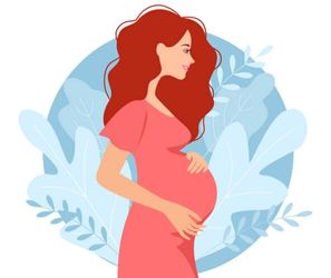 Desarrollo del feto de 19 semanas