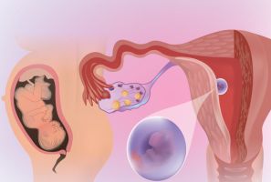 Calculadora de las semanas del embarazo implantación