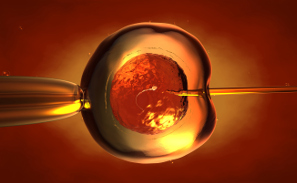 Edición genética en embriones: opinión experta