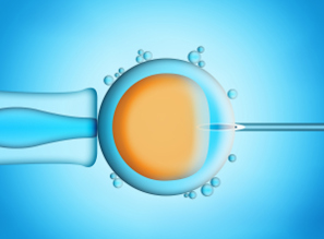 Confirmar el embarazo obtenido por fecundación in vitro