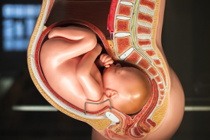 Embarazada con infección de orina: por qué sucede