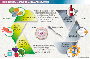 Tóxicos que afectan a óvulos u espermatozoides