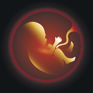 Rarezas del embarazo: embarazo críptico o parto por sorpresa