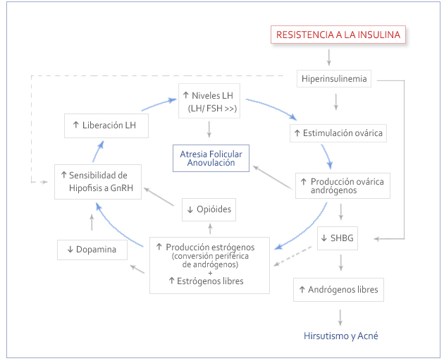 resistencia a la insulina