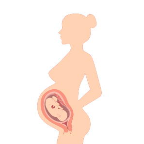Factores de riesgo de lumbalgia en la embarazada