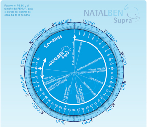 Calculadora de parto o rueda del embarazo