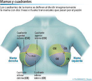 Partes del pecho donde se localizan nódulos, quistes y fibroadenomas