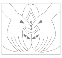 modo de empleo carelle