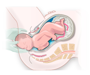 Changes In The Ninth Month Of Pregnancy