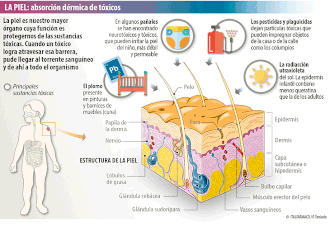 Tóxicos que el niño absorbe por la piel