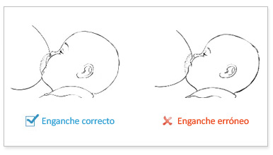 lecho detrás creencia Cómo continuar la lactancia materna en casa | Natalben