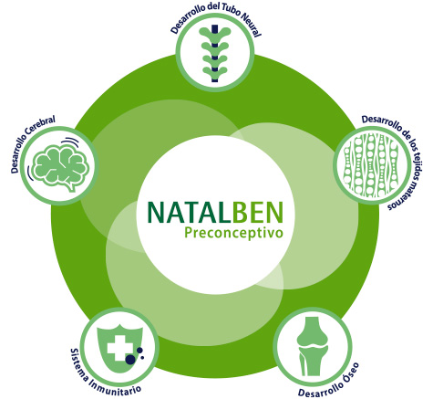 Papel de los principales componentes de NATALBEN Preconceptivo