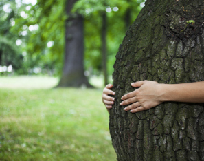 Menos fertilidad de la mujer por contaminación ambiental