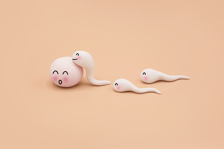 El óvulo emite unos receptores que atraen al esperma más fértil