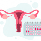 Calculadora de la ovulación y días fértiles de la mujer
