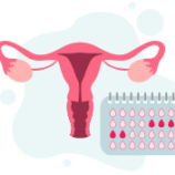 Ovulation and fertility calculator