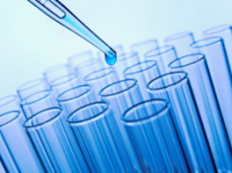 Infección de orina en el embarazo, qué hacer