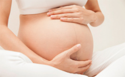 Desarrollo del feto semana 16 de embarazo