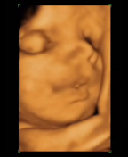Desarrollo fetal noveno mes de embarazo