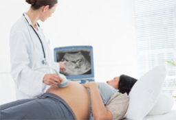 Las malformaciones más frecuentes del sistema respiratorio