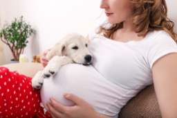 Embarazada con su mascota