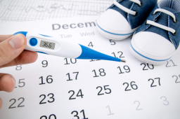 Crea tu calendario de ovulación paso a paso