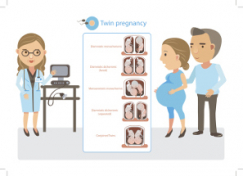 Cómo saber si el embarazo es de mellizos o gemelos