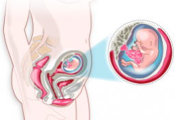 Symptoms in your third month of pregnancy