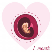 Semana 6 de embarazo: Cómo se desarrolla el embrión y síntomas maternos
