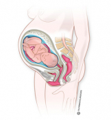 Embarazo semana 38: cambios en madre, bebé y pruebas diagnósticas