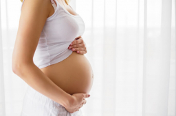 Desarrollo del feto de 23 semanas de embarazo