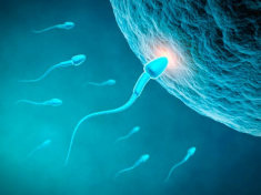 Vida sexual activa más posibilidades de embarazo